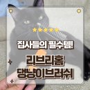 빗과결사이 | 죽은털 엉킨털 제거에 탁월한 효과 리브리홈 댕냥이브러쉬 고양이빗 솔직후기