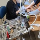 타임네일 페디베네 이미지