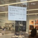 오델리스 이미지