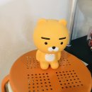 의정부녹양동물약국 | 녹양동카페, 녹양역카페, 의정부와플, 녹양동디저트, 녹양역예쁜카페, 유월