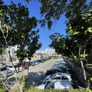 쌍봉도서관 주차장 이미지