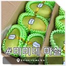 [미미네 마실] 캄보디아 그린깨오 망고 - 엄마돈엄마산 맛있는 후기