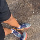 화이트사인 | 브리즈번 트레킹 화이트락 코스 후기