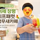 앵무새카페 | 거제 실내 아이랑 갈만한곳 장평 리프패럿 앵무새카페 후기