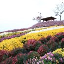 새날약국 이미지