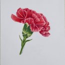 보테니컬아트 이미지