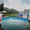 가야산백운오토캠핑장
