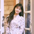 윶 이미지