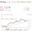 JYP Ent. 주가 이런 상황에서 더 집중하셔야죠 이미지