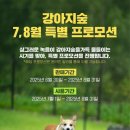 8월의 강아지 이미지