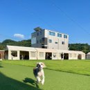 댕스파크 이미지