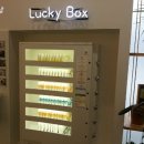 럭키웰빙박스 이미지