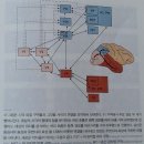 기억의 비밀(에릭 캔델. 레리 스콰이어) 이미지