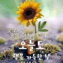 라면 끓일 땐 무조건 ‘양은 냄비’… 잘못하다간 뇌·신장 망가져 이미지