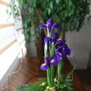 동양꽃꽂이 이미지