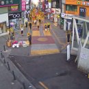 149 이미지