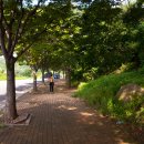 팔공산올레길 1코스 이미지