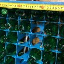 술짝 - 삼척시 대학로 45 | 술짝
