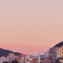 무인다방 경산옥산점 | [경산 가볼만한 곳, 남천강변] 여름밤의 낭만 가득한 2026 경산카페축제 솔직 후기(feat. 주차 & 꿀팁)