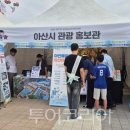 비둘기여행사 이미지