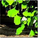 용문마을회관 (용문마을방면) 이미지