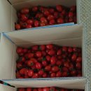 국희농장 이미지