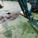 은혜고등학교 이미지