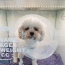 마송 동물병원 이미지