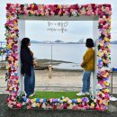 다래농원 | 2025남도국제미식산업박람회/ 함평군 해월다함과 토종다래