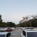 죠스떡볶이 양산통도점 | 양산 통도사 미디어아트｜사찰 속에서 즐긴 빛의 축제, 열무의 반짝이는 하루