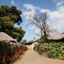 은행나무사거리1 이미지