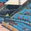 하이캐치 이미지