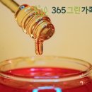 365그린가족의원 이미지