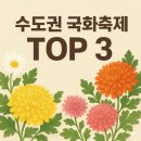 파주국화분재 | 수도권 국화축제 TOP 3, 딱! 주차/볼거리만 전격 비교