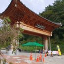 구절초 테마공원 제2주차장 이미지