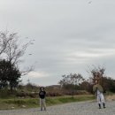 와룡천 캠핑장 이미지