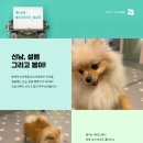 개님살롱 이미지