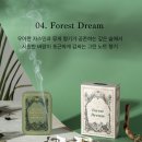 드림앤페이퍼