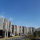 소랑in제주 | 제주소랑 in 팜스빌리지/제주숙소추천/3층독채펜션/한림