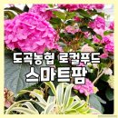 팜카페상생