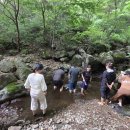 한국요가명상원