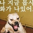 화남 네이버블로그
