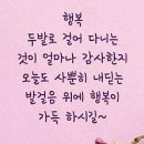 개구장이 - 경산시 대학로8길 25 | 개구장이