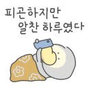 오렌지정원 이미지