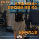 운동독립스쿨 PT 스튜디오 이미지
