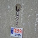 대구여인숙 이미지