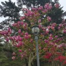 꾸지나무골 행복한 하우스 이미지