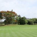 나라골프클럽 이미지