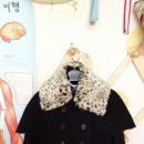 패리미츠 Daum카페