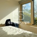 백패커스빌라제주 | 제주 서쪽 가성비 펜션 백패커스빌라 201호 숲뷰 후기
